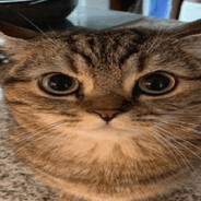 מיכאַילאָ מידני