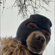 еелттее