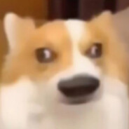 不道啊导员没说啊