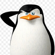 Skipper