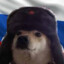 PaulterGeist