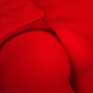 sdy