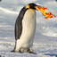 PenguinSlayer
