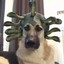 Perro Medusa