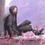 Acolyte