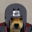 _ ITACHI _