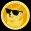 DogeCoin (l o r i)