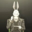 The White Rabbit