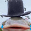 awersgdweo