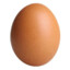 egg