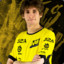 Na Vi. Dendi.GG.BETT