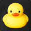 UT_Duck