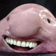 THE BLOBFISCH  (＾0＾)