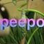 Peepo