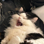 先唐后送,然后原神启动