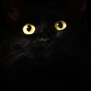 HUSH IV 貪生怕死