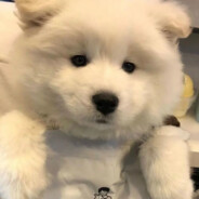 还是我失踪人口