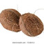 Harry Nutts
