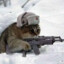 Долик