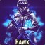 Hawk