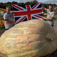 just a massive pumpkin