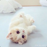 沉迷按 D无法自拔