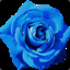 RennyRosie