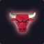 CHICAGO BULLS