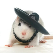 Rabid Rat of the East