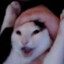 Autism Primate