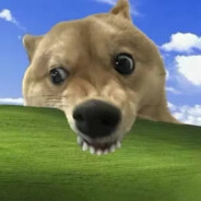 Angry Dog