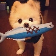 我就随便玩玩。