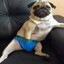 Страусятина's avatar