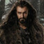 oakenshield