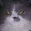 Mr Chumy