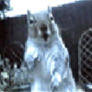 NeoMorph - steam id 76561197960889562