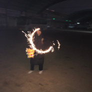 莫待无花空折枝