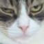 &lt;&lt; B `