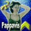 159th_pappavis