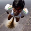 indian streetfood celebrator