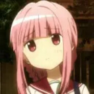 我家小猫