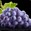 GreatGrape