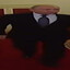 Wide Putin