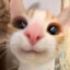 AnimechniK