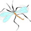 somalian mosquito