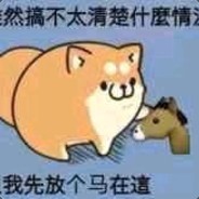 里瑟