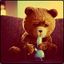 teddy_bear