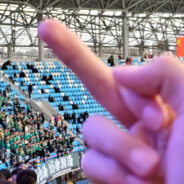 Southeast Asian monkey