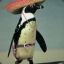 Mexi-penguin