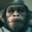 Monkee
